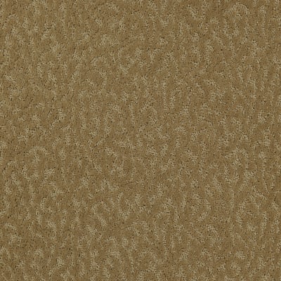 Exceptional Beauty in Sahara Sands - Carpet by Mohawk Flooring