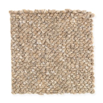 Trekker II in Citrus - Carpet by Mohawk Flooring
