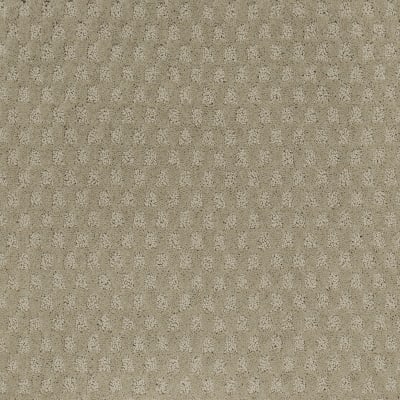 Classical Delight in Alpaca - Carpet by Mohawk Flooring