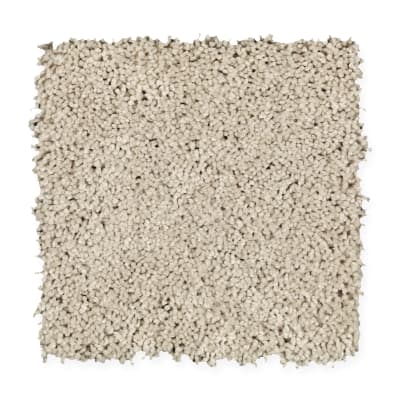 Emerging Image III in Coastal Beige - Carpet by Mohawk Flooring