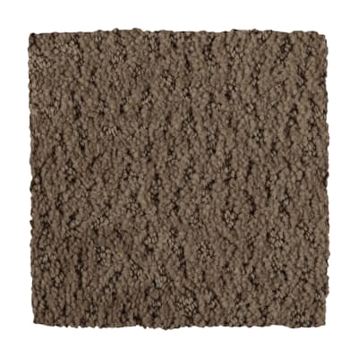 Lasting Outlook in Fragile Beauty - Carpet by Mohawk Flooring