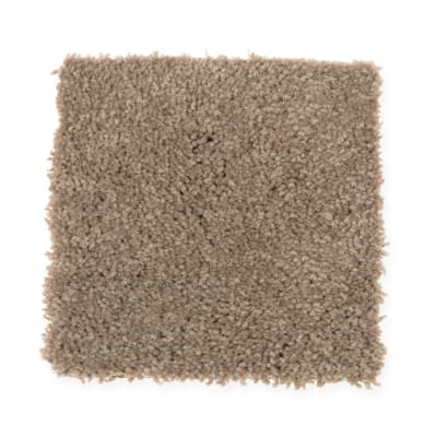 Tranquil Touch Solid in Beech Bark - Carpet by Mohawk Flooring