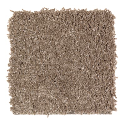 Pleasing Nature in Harvest - Carpet by Mohawk Flooring
