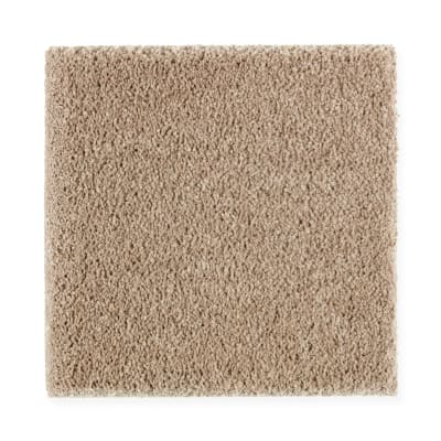 Exquisite Attraction in Timeless - Carpet by Mohawk Flooring