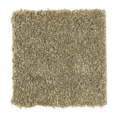 Harmony in Subtle Sage - Carpet by Mohawk Flooring