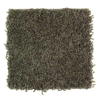 Tender Moment in Mossy Border - Carpet by Mohawk Flooring