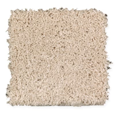 Lifetime Achievement in Shoreline - Carpet by Mohawk Flooring