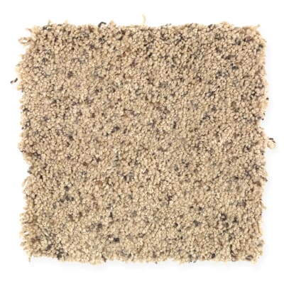 Priv Collection I in Woodcarving - Carpet by Mohawk Flooring