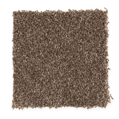 Harmony in Mesquite - Carpet by Mohawk Flooring