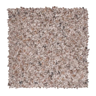 Earthly Details I in Gentle Doe - Carpet by Mohawk Flooring