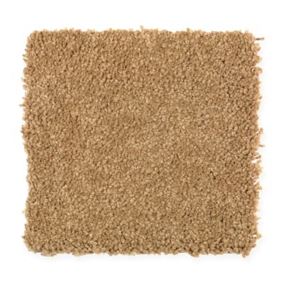 Comfortable Creation II in Mesquite - Carpet by Mohawk Flooring
