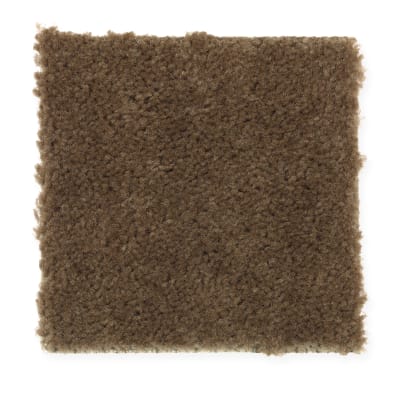 Everyday Living in Burnished Brown - Carpet by Mohawk Flooring