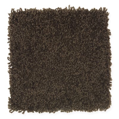 Coastal Path III in Black Walnut - Carpet by Mohawk Flooring