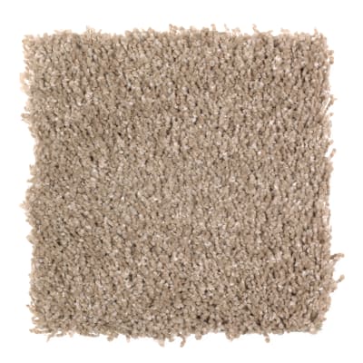 Pleasing Nature in Alabaster - Carpet by Mohawk Flooring