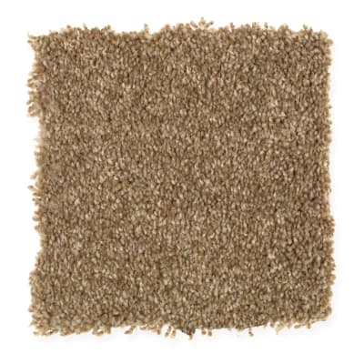Harmony in Camel - Carpet by Mohawk Flooring