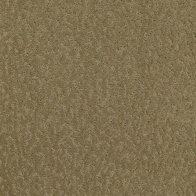Exceptional Beauty in Light Maple - Carpet by Mohawk Flooring