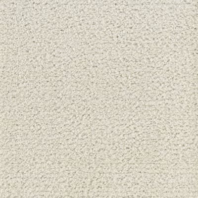 Salsa in Garlic Powder - Carpet by Mohawk Flooring