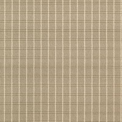 Familiar Frame in Muslin - Carpet by Mohawk Flooring