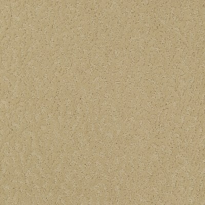 Exceptional Beauty in Persian Silk - Carpet by Mohawk Flooring