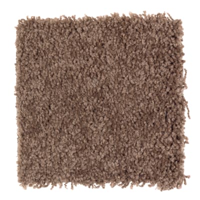 Lifetime Achievement in Hot Chocolate - Carpet by Mohawk Flooring