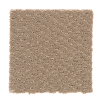Star Performer in Old Bridge - Carpet by Mohawk Flooring