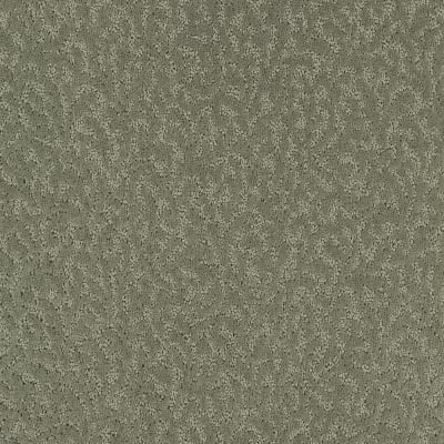 Exceptional Beauty in Passageway - Carpet by Mohawk Flooring
