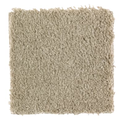 Classic Attraction in Oak Panel - Carpet by Mohawk Flooring