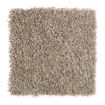 Graceful Beauty in Winter Delta - Carpet by Mohawk Flooring