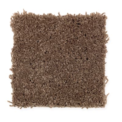Inspiring Color in Cattle Drive - Carpet by Mohawk Flooring