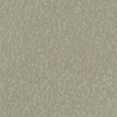 Exceptional Beauty in Cloud Cover - Carpet by Mohawk Flooring