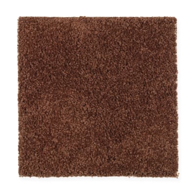Lavish Design in Warm Autumn - Carpet by Mohawk Flooring