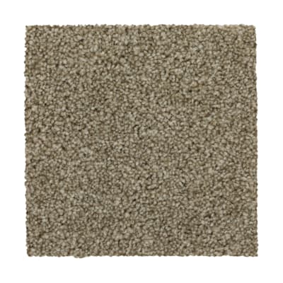 True Harmony in Griffin - Carpet by Mohawk Flooring