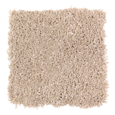 Pleasing Nature in Bliss - Carpet by Mohawk Flooring