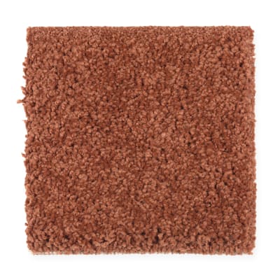 Smart Color in Pumpkin Pie - Carpet by Mohawk Flooring