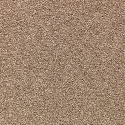Striking Option in Mushroom Cap - Carpet by Mohawk Flooring
