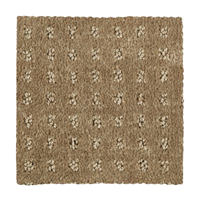 Invigorating in Woodland - Carpet by Mohawk Flooring