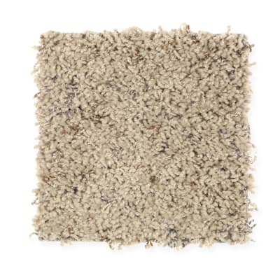 Complete Package Fleck in Dry Branch - Carpet by Mohawk Flooring