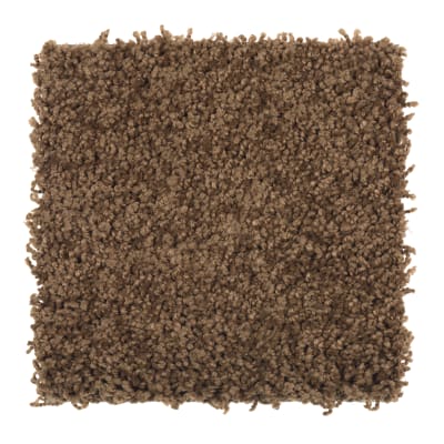Smart Color in Ginger Jar - Carpet by Mohawk Flooring