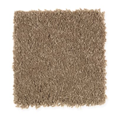 Bellevue Terrace in Cypress - Carpet by Mohawk Flooring