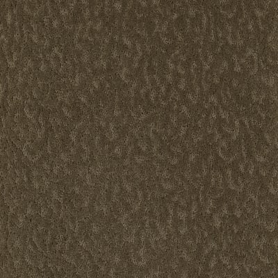 Exceptional Beauty in October Leaves - Carpet by Mohawk Flooring