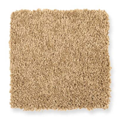 Skillful Intent in Torch Light - Carpet by Mohawk Flooring