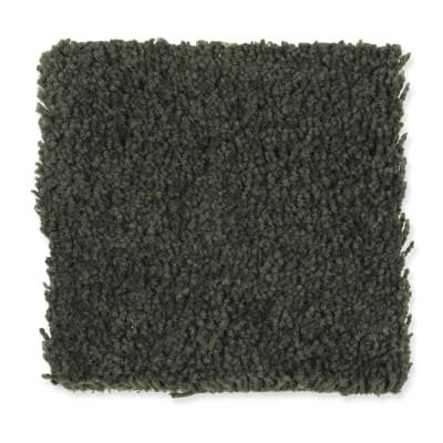 American Legacy in Grecian Olive - Carpet by Mohawk Flooring