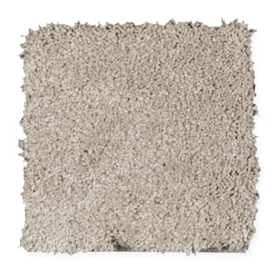Intriguing Array in River Reed - Carpet by Mohawk Flooring