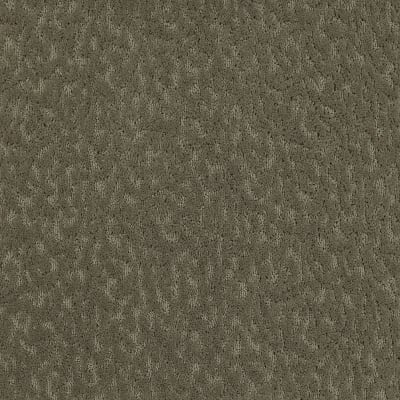 Exceptional Beauty in Dust Bowl - Carpet by Mohawk Flooring