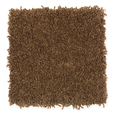 Beach Club III in Treasure Chest - Carpet by Mohawk Flooring