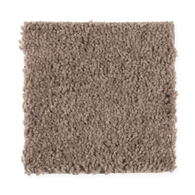 Timeless Idea in Dried Peat - Carpet by Mohawk Flooring