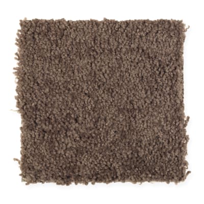 Simple Selection in Fudge Bar - Carpet by Mohawk Flooring