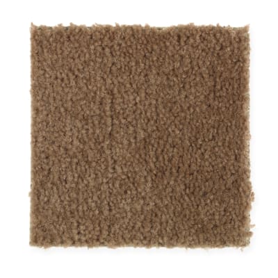 Everyday Living in Acorn Trail - Carpet by Mohawk Flooring