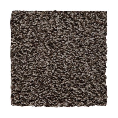 Artistic Retreat in Imperial Brown - Carpet by Mohawk Flooring