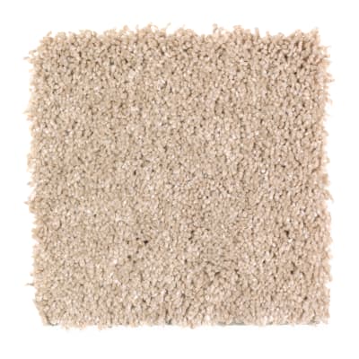 Pleasing Nature in Polished Pearl - Carpet by Mohawk Flooring